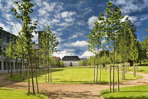 Rundvisning omkring Brede Værk